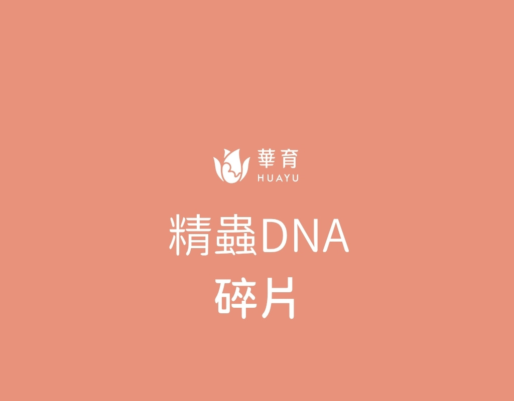 精蟲DNA碎片