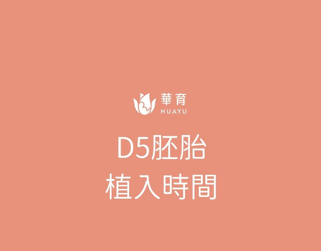 D5胚胎植入時程