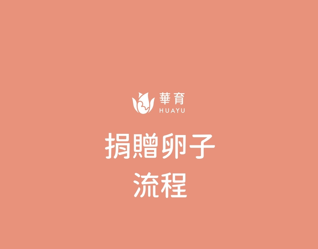 捐贈卵子流程