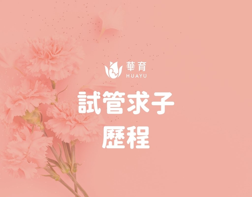 試管求子歷程