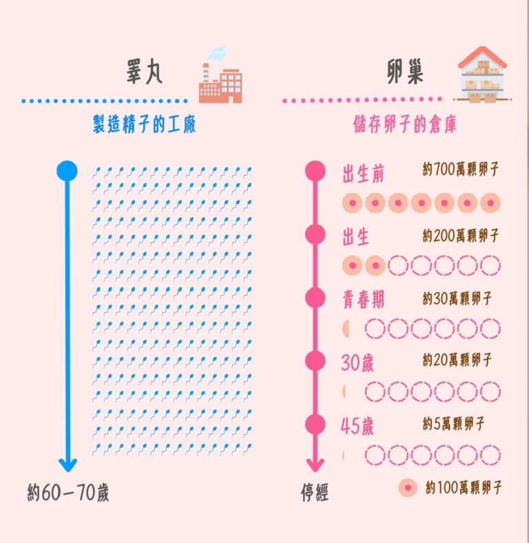 男女大不同