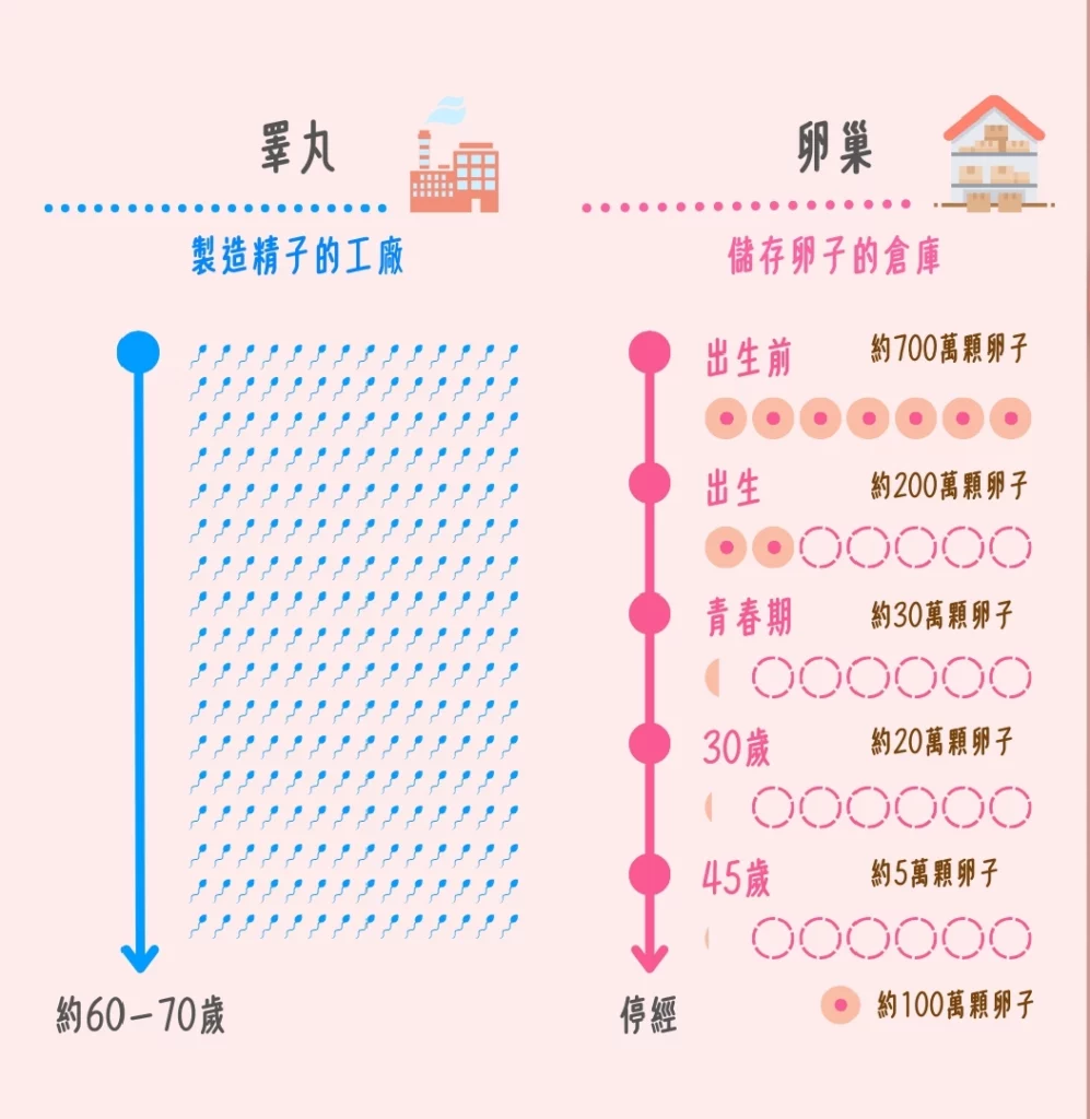 男女大不同