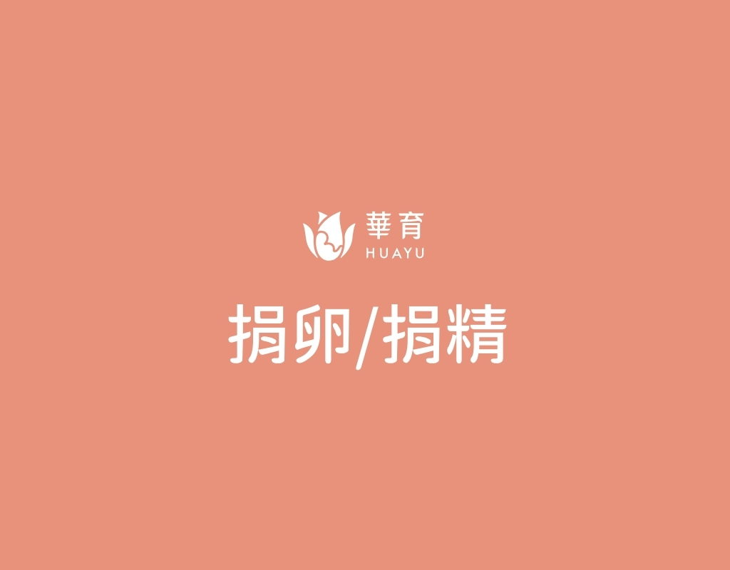 捐卵
