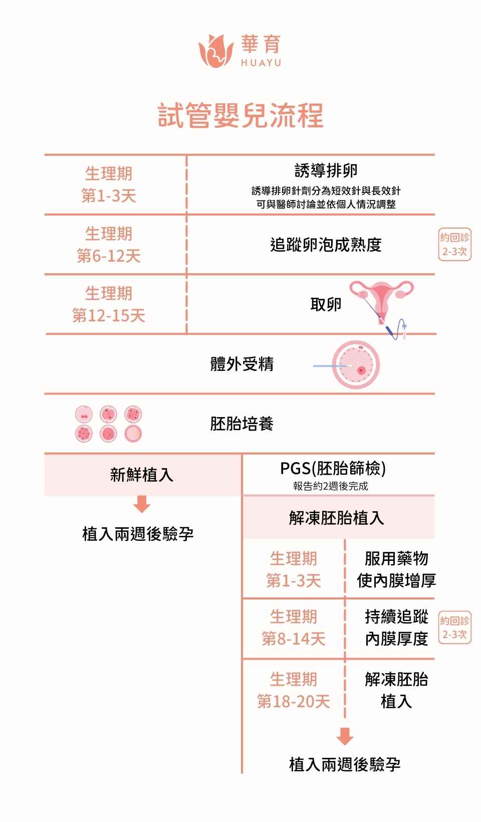 試管嬰兒冷凍胚胎及新鮮胚胎植入流程